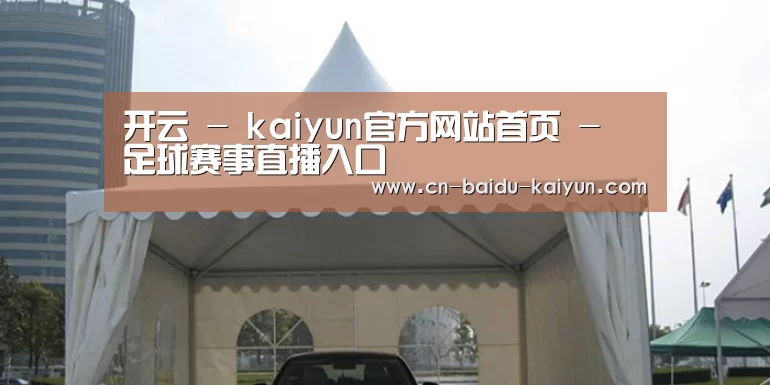 案例标题八