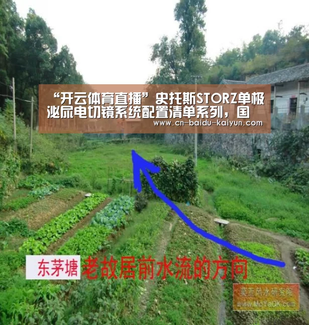 开云世界杯投注