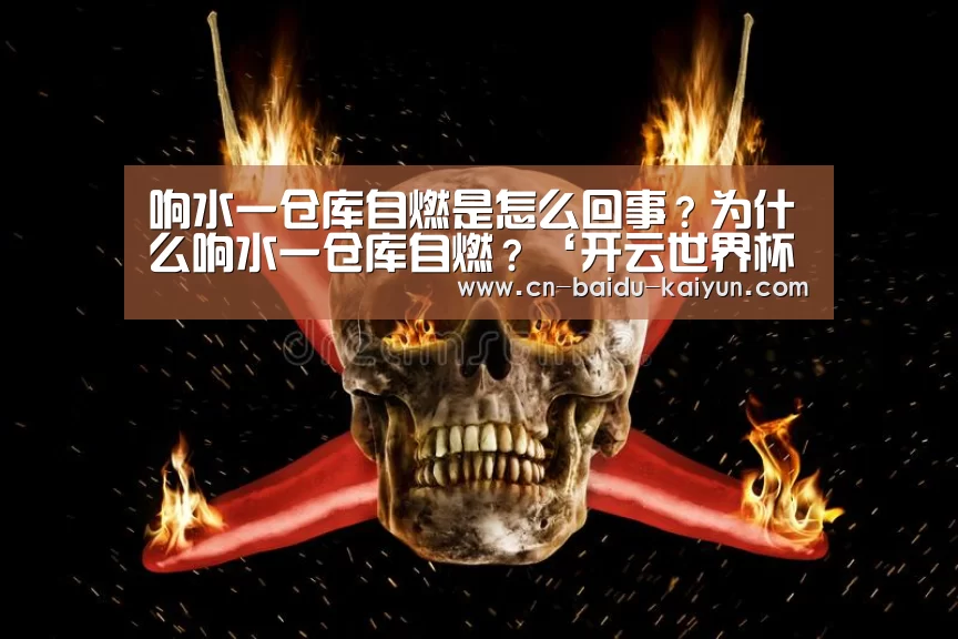 开云世界杯投注