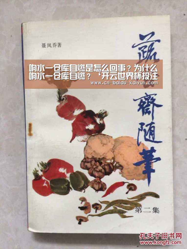 开云足球下注平台